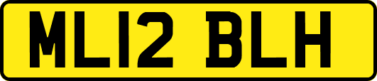 ML12BLH