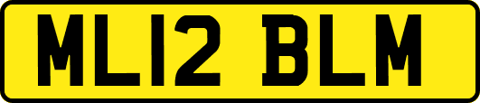 ML12BLM