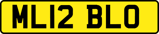 ML12BLO