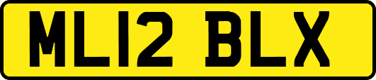 ML12BLX