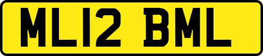 ML12BML