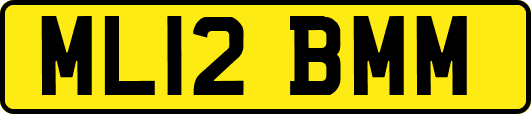 ML12BMM