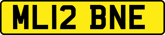 ML12BNE