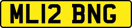 ML12BNG