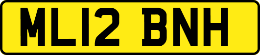 ML12BNH