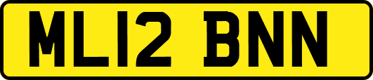 ML12BNN