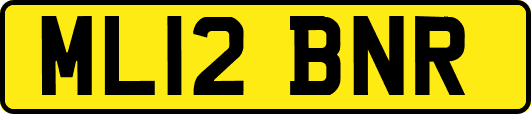 ML12BNR