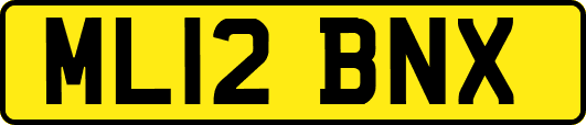 ML12BNX