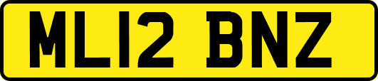 ML12BNZ
