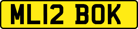 ML12BOK