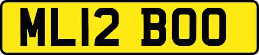 ML12BOO