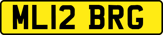 ML12BRG