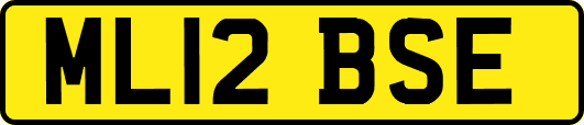ML12BSE