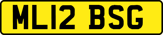 ML12BSG