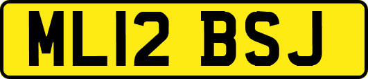 ML12BSJ