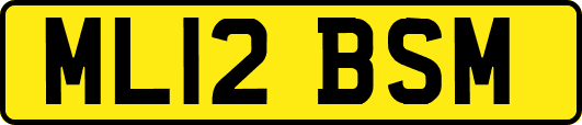 ML12BSM