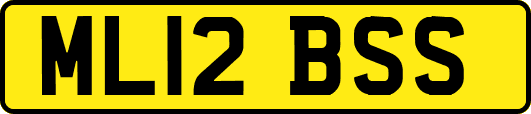 ML12BSS