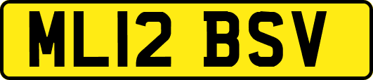 ML12BSV