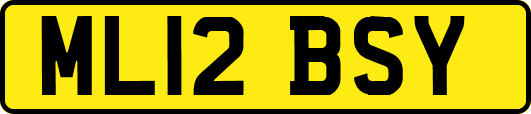 ML12BSY