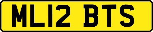 ML12BTS