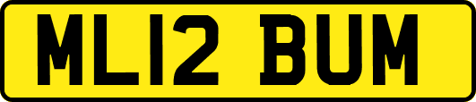 ML12BUM
