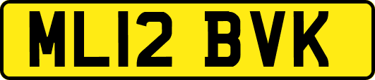 ML12BVK