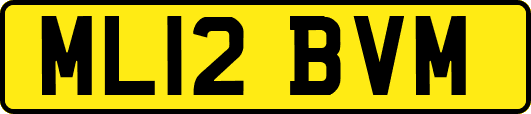 ML12BVM