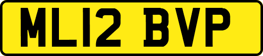 ML12BVP