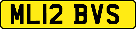 ML12BVS