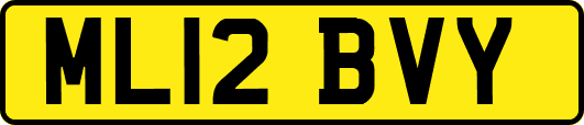 ML12BVY