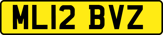 ML12BVZ
