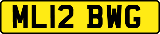 ML12BWG