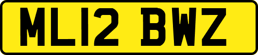 ML12BWZ