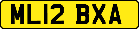 ML12BXA