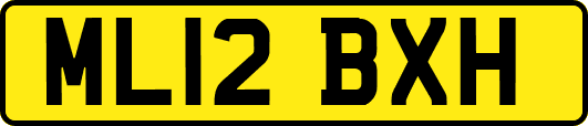 ML12BXH