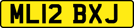 ML12BXJ