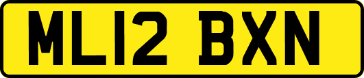 ML12BXN