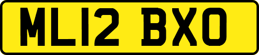 ML12BXO