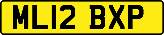 ML12BXP