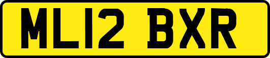 ML12BXR