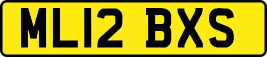 ML12BXS