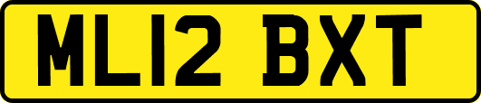 ML12BXT
