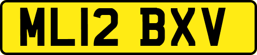 ML12BXV