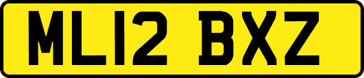ML12BXZ