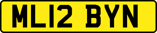 ML12BYN