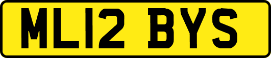 ML12BYS