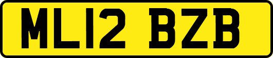 ML12BZB