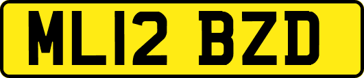 ML12BZD