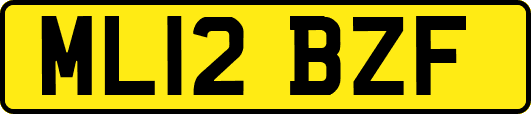 ML12BZF