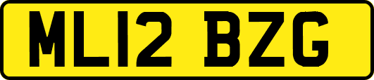 ML12BZG